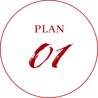 PLAN 01
